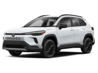 Sticky Gallery Image