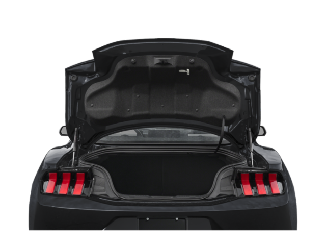 2025 Ford Mustang EcoBoost Fastback image