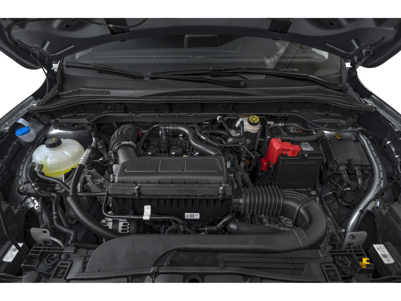 Color M7 Images