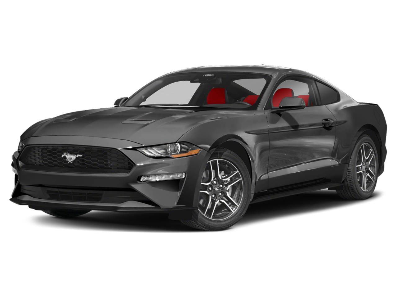 2022 Ford Mustang EcoBoost's photo