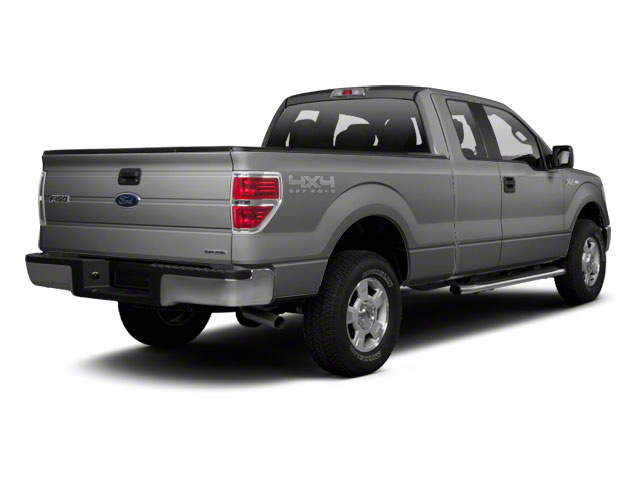 2010 Ford F-150's photo