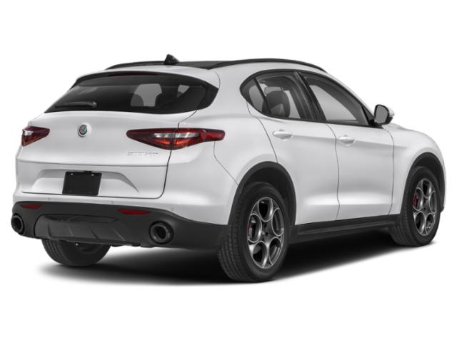 2023 Alfa Romeo Stelvio - Image 3