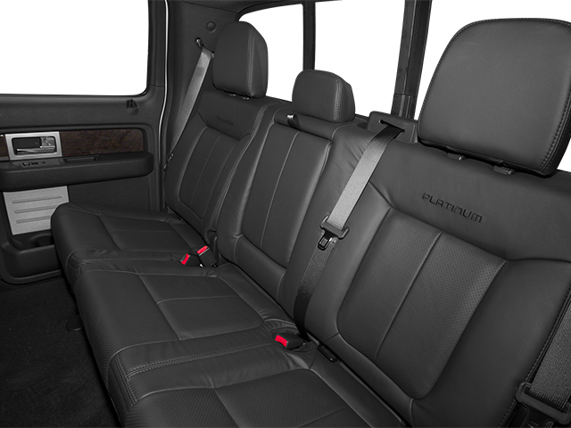 2014 Ford F-150 thumbnail 14
