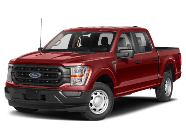 2023 Ford F-150 XL's photo