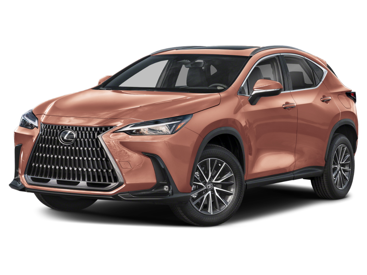 2025 Lexus NX NX 250