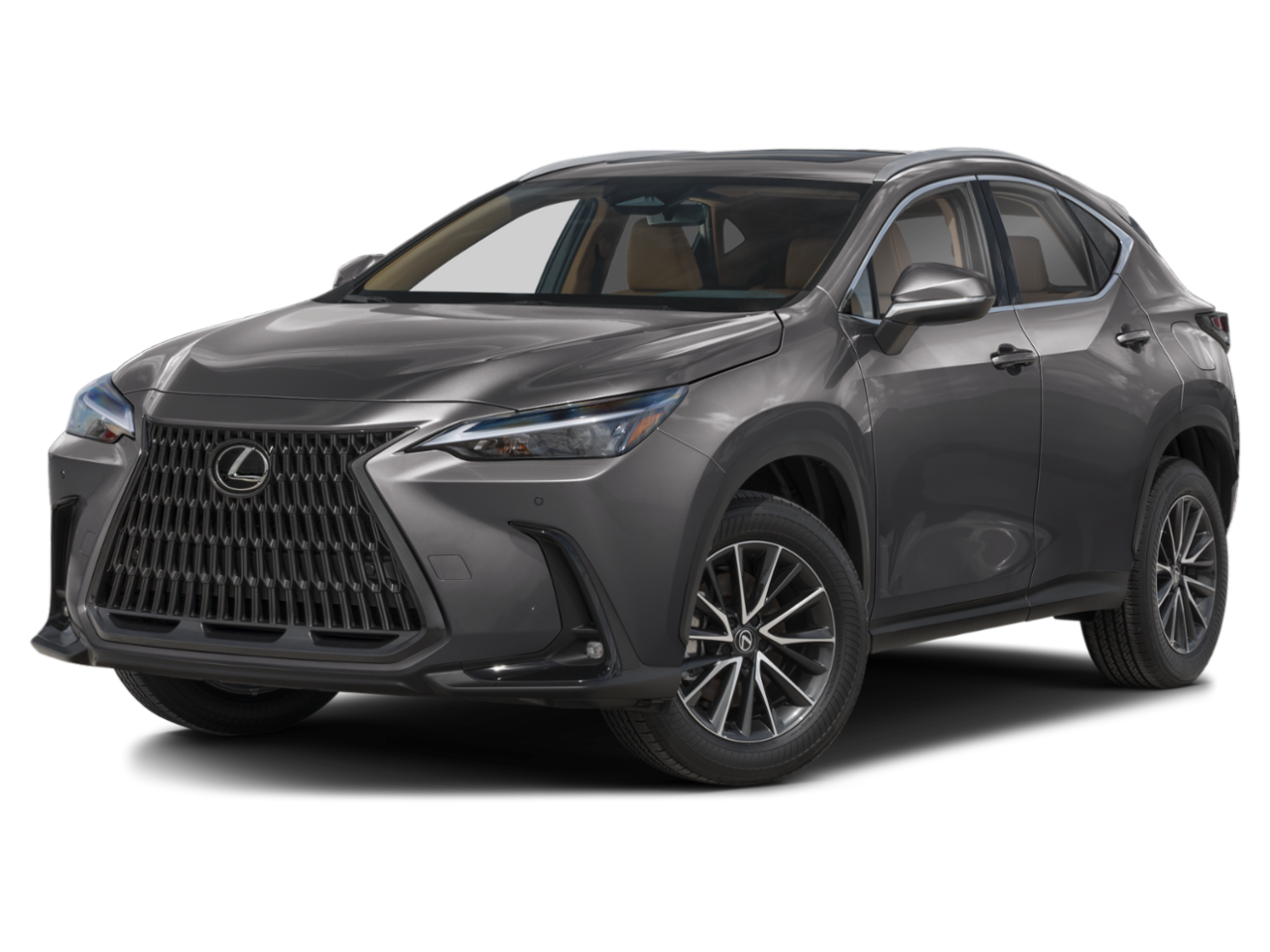 2025 Lexus NX NX 250 Premium