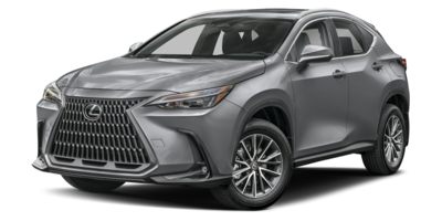 2024 Lexus NX 350h 350h AWD's photo