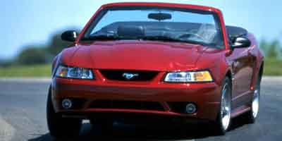 2001 Ford Mustang Cobra SVT's photo